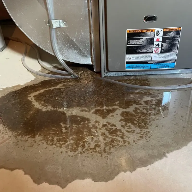 Pipe Burst and Leak Restoration in Fitzgerald, GA