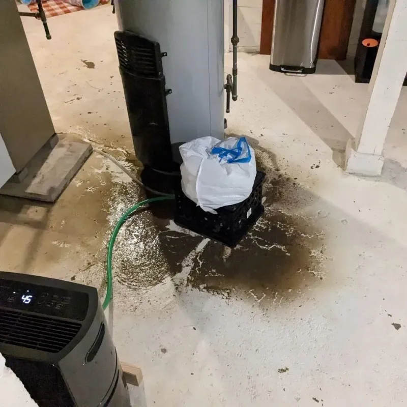 Sewage Backup Cleanup Service in Fitzgerald, GA